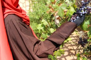 abaya allaitement femme- manche - femme musulmane